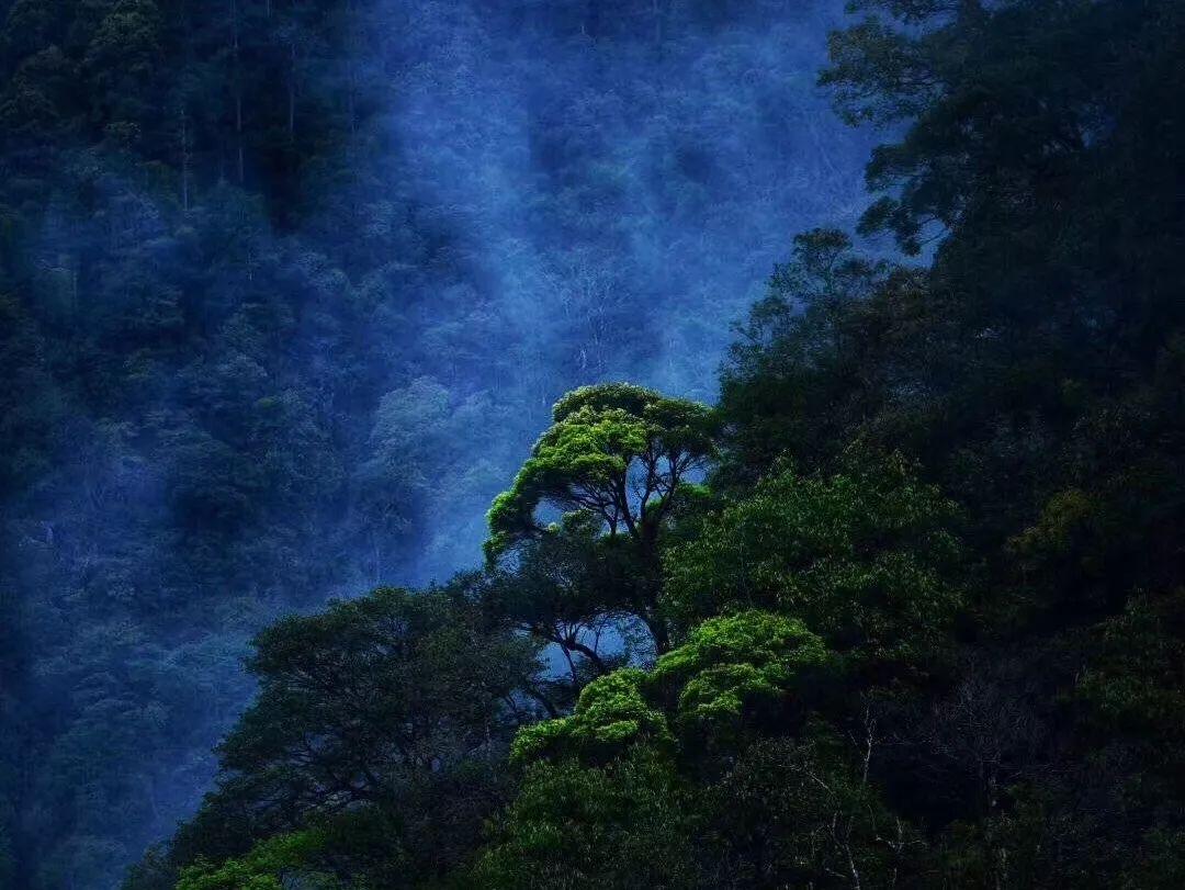 极限竞速7